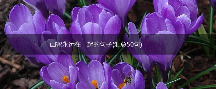 闺蜜永远在一起的句子(汇总50句),第1张