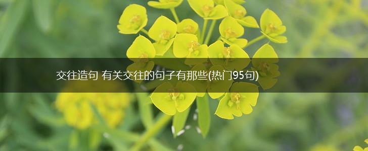 交往造句 有关交往的句子有那些(热门95句),第1张