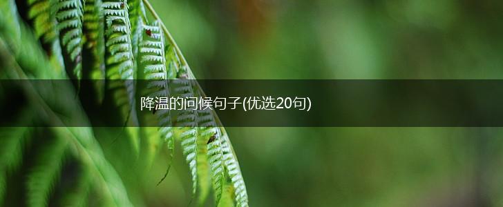 降温的问候句子(优选20句),第1张