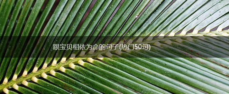 跟宝贝相依为命的句子(热门50句),第1张