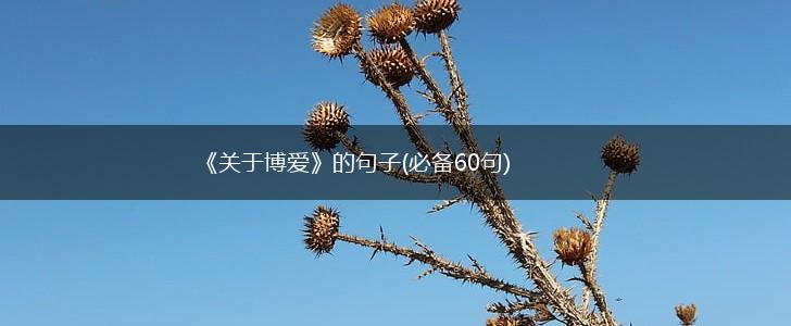 《关于博爱》的句子(必备60句),第1张