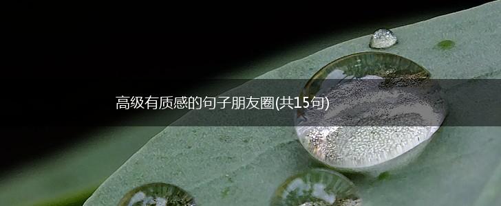 高级有质感的句子朋友圈(共15句),第1张