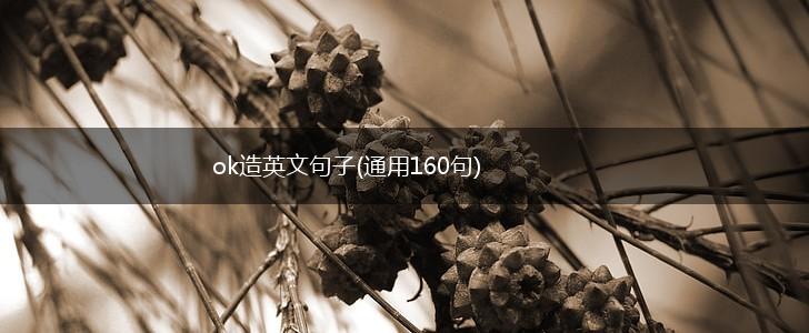 ok造英文句子(通用160句),第1张