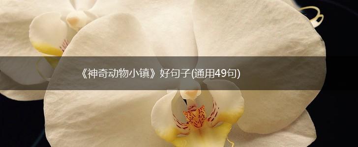 《神奇动物小镇》好句子(通用49句),第1张