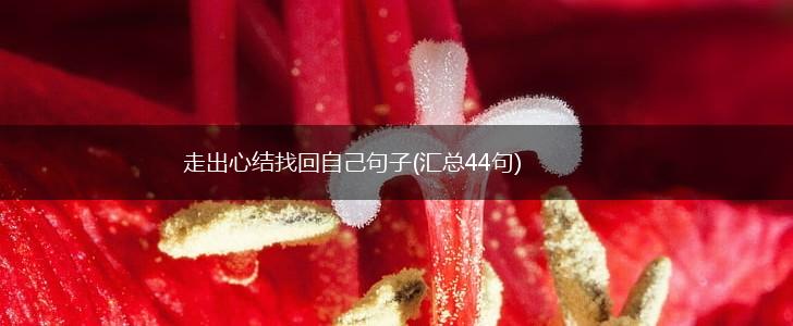 走出心结找回自己句子(汇总44句),第1张