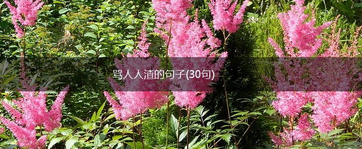 骂人人渣的句子(30句),第1张