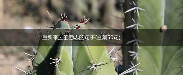 重新来过的励志的句子(合集50句),第1张