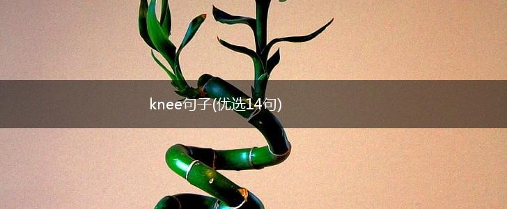 knee句子(优选14句),第1张