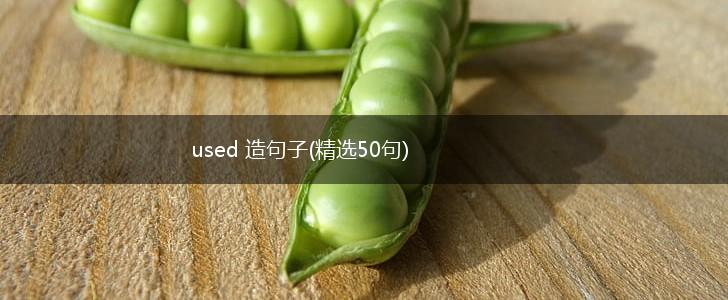 used 造句子(精选50句),第1张