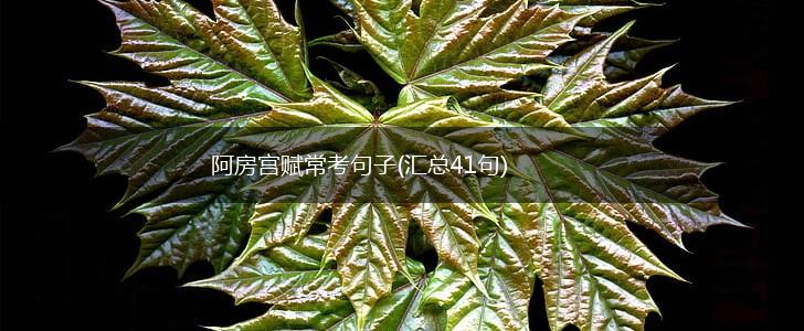 阿房宫赋常考句子(汇总41句),第1张