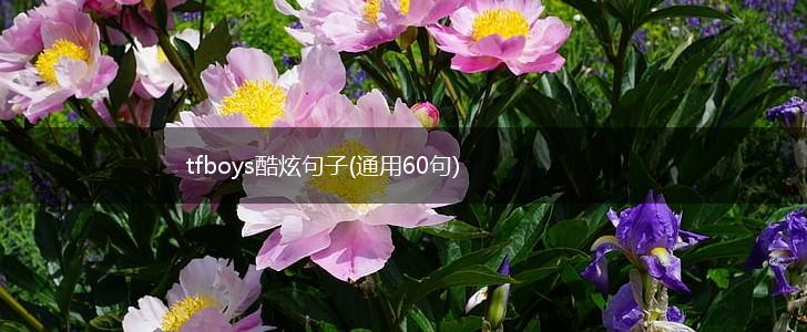 tfboys酷炫句子(通用60句),第1张
