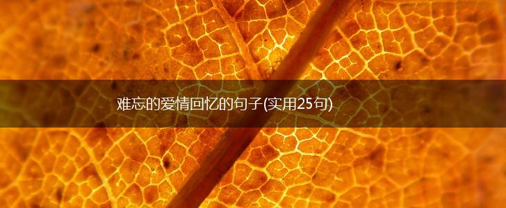 难忘的爱情回忆的句子(实用25句),第1张