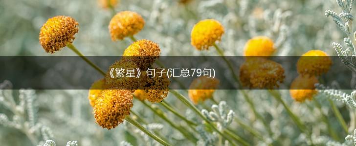 《繁星》句子(汇总79句),第1张