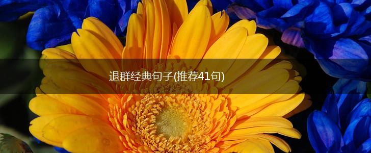 退群经典句子(推荐41句),第1张
