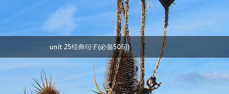 unit 25经典句子(必备50句),第1张