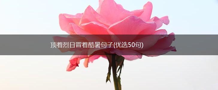 顶着烈日冒着酷暑句子(优选50句),第1张