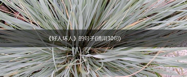 《好人坏人》的句子(通用30句),第1张