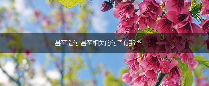 甚至造句 甚至相关的句子有那些,第1张