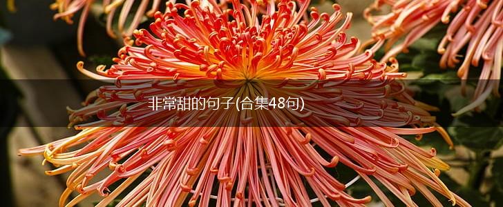 非常甜的句子(合集48句),第1张