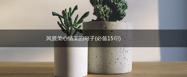 风景美心情美的句子(必备15句),第1张