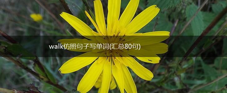 walk仿照句子写单词(汇总80句),第1张
