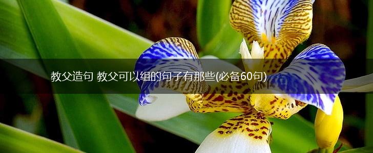 教父造句 教父可以组的句子有那些(必备60句),第1张