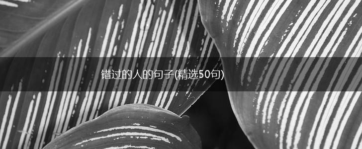 错过的人的句子(精选50句),第1张