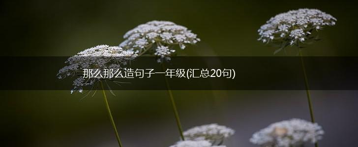 那么那么造句子一年级(汇总20句),第1张