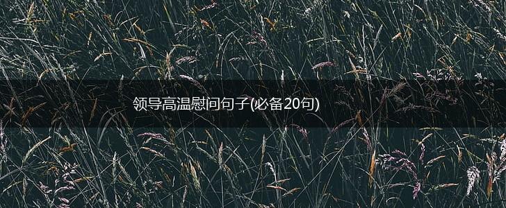 领导高温慰问句子(必备20句),第1张