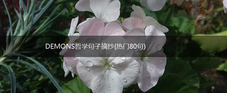DEMONS哲学句子摘抄(热门80句),第1张