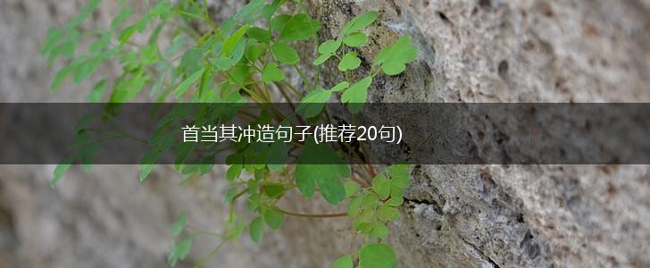 首当其冲造句子(推荐20句),第1张