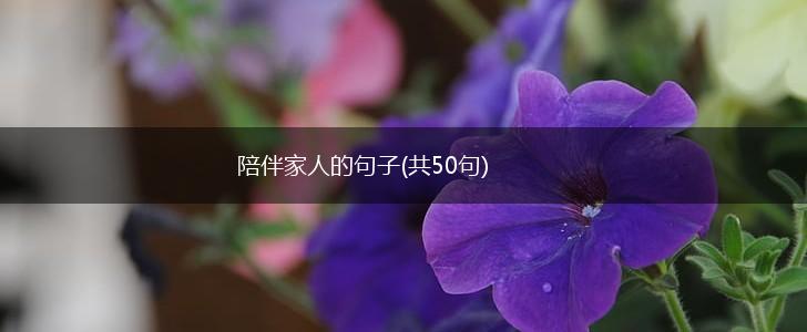 陪伴家人的句子(共50句),第1张