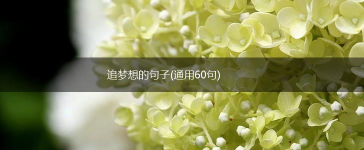 追梦想的句子(通用60句),第1张