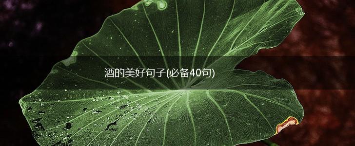 酒的美好句子(必备40句),第1张