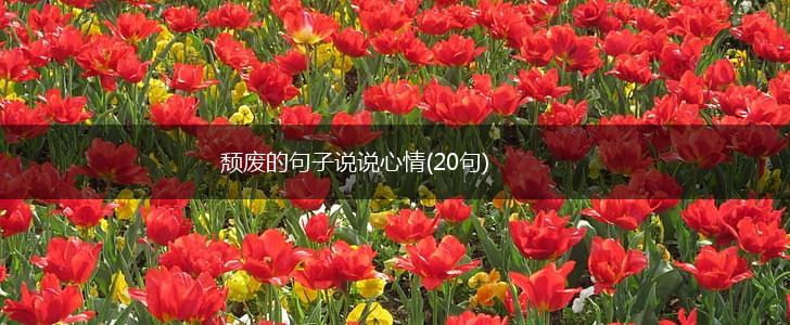 颓废的句子说说心情(20句),第1张