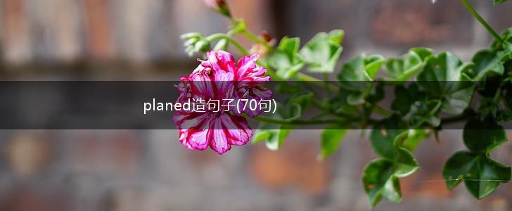 planed造句子(70句),第1张