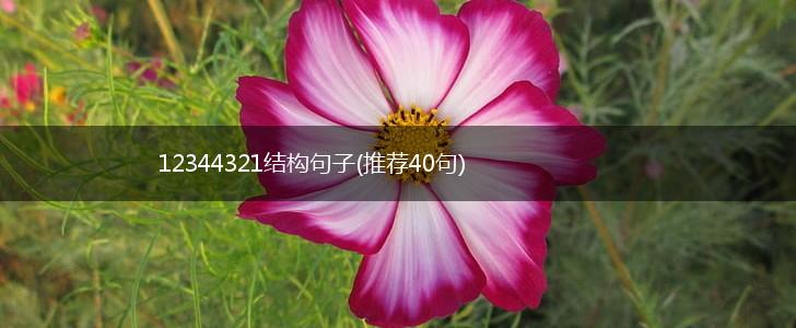 12344321结构句子(推荐40句),第1张