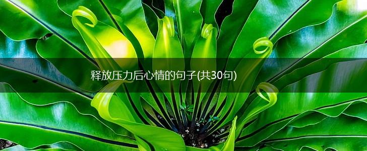 释放压力后心情的句子(共30句),第1张