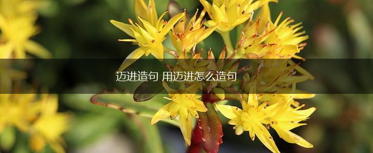 迈进造句 用迈进怎么造句,第1张