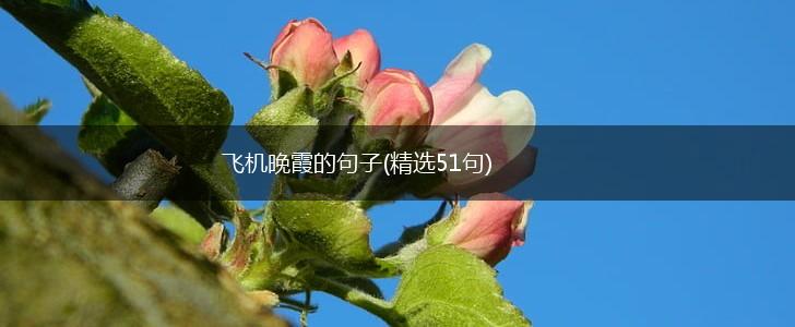 飞机晚霞的句子(精选51句),第1张