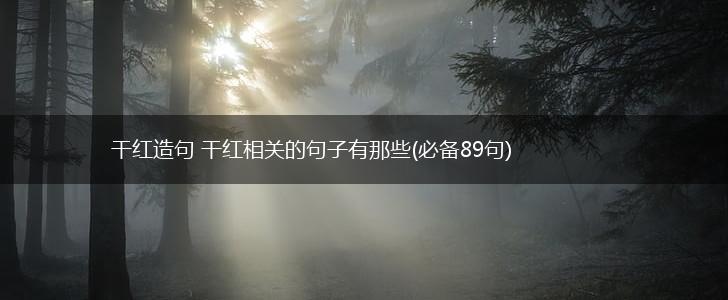 干红造句 干红相关的句子有那些(必备89句),第1张