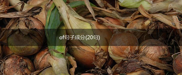 of句子成分(20句),第1张