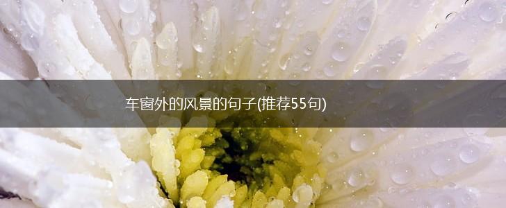 车窗外的风景的句子(推荐55句),第1张