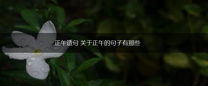正午造句 关于正午的句子有那些,第1张
