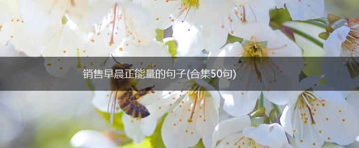 销售早晨正能量的句子(合集50句),第1张