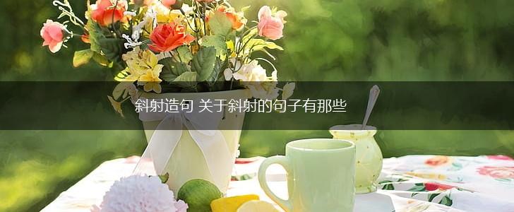 斜射造句 关于斜射的句子有那些,第1张