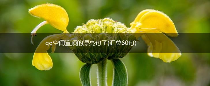 qq空间置顶的漂亮句子(汇总60句),第1张