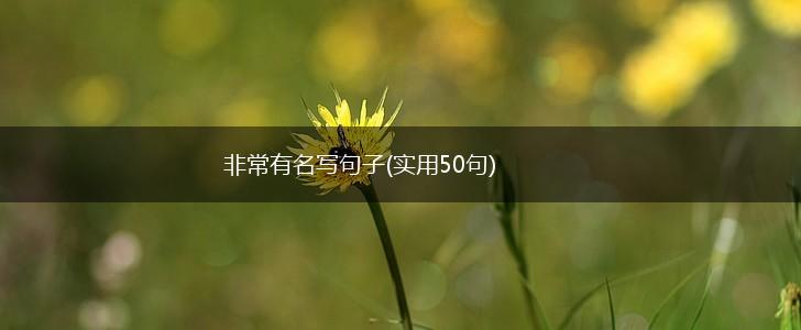 非常有名写句子(实用50句),第1张