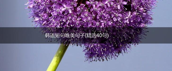 韩语短句唯美句子(精选40句),第1张