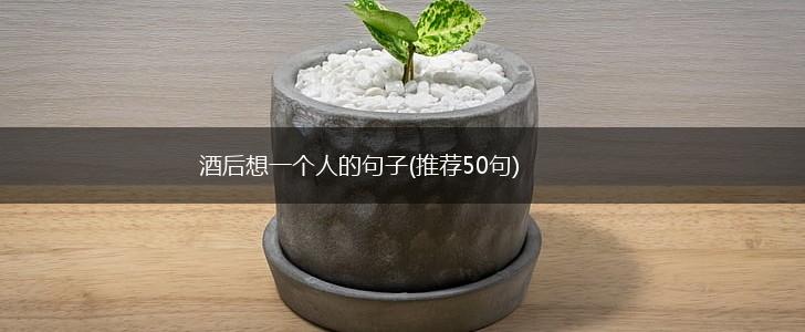 酒后想一个人的句子(推荐50句),第1张